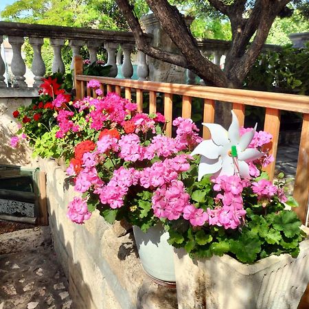 Charmant Appart Avec Jardin 艾格-莫尔特 外观 照片
